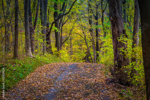 Colorful hiking trail in Lancaster County Central Park