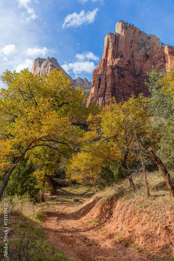 The narrow trail through the beautiful forest. Zion National Park, Utah, USA