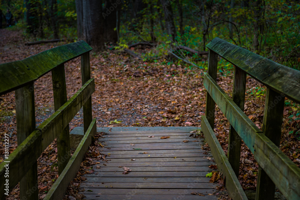 Walking bridge on a hiking trail Walking bridge on a hiking trail