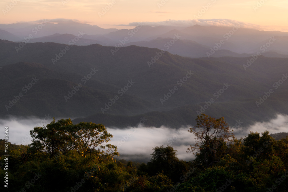 The mist cloud on mountain with forest