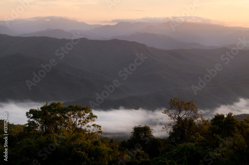 The mist cloud on mountain with forest