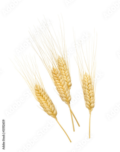Vertical wheat ears set isolated on white 6