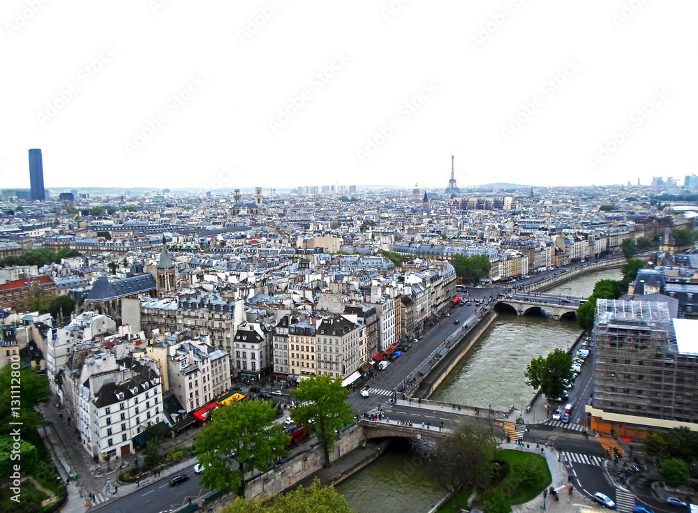 View from the rooftop of Notre Dame Cathedral in Paris, France