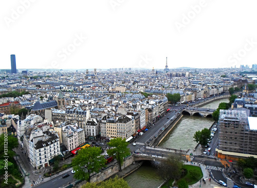 View from the rooftop of Notre Dame Cathedral in Paris, France © lenalanette