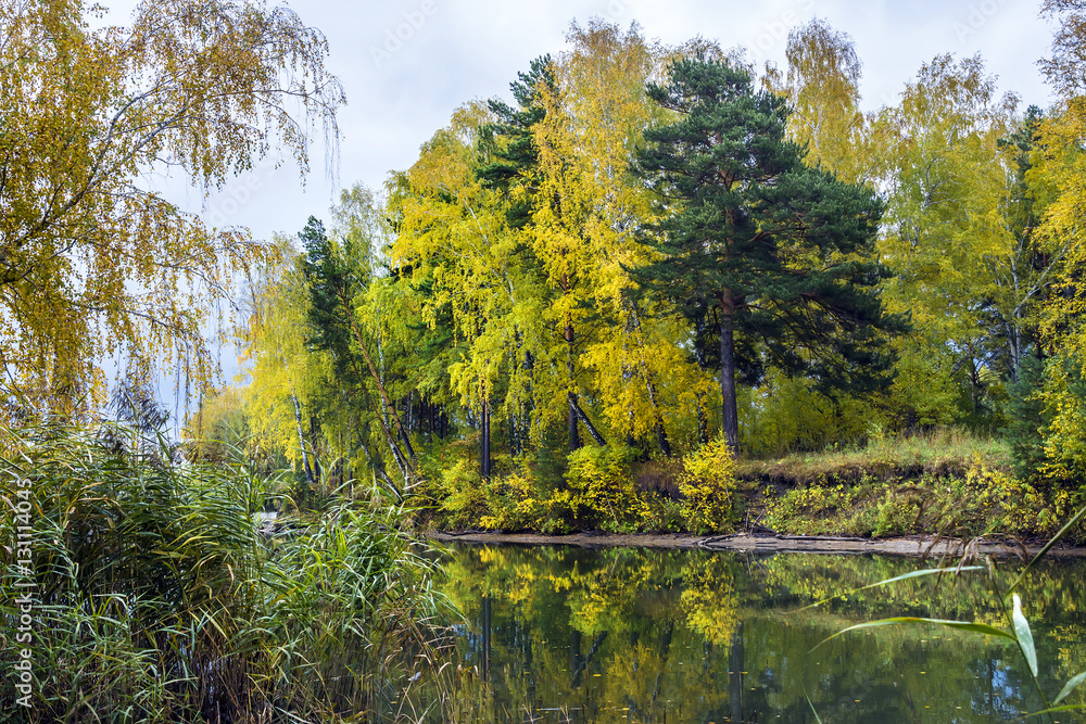 Fototapeta premium Autumn landscape on the river
