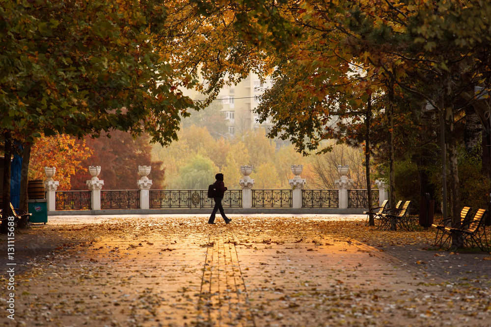 man walking in autumn time