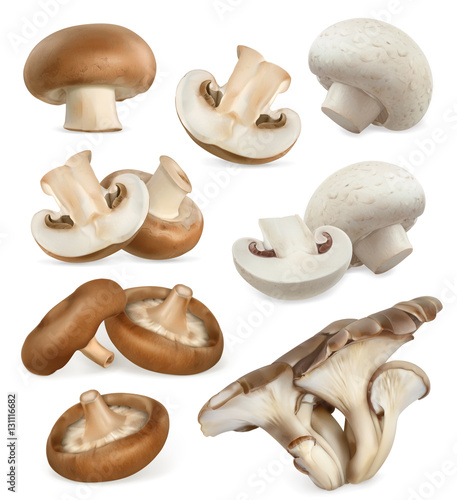 Edible mushrooms. Shiitake, oyster, cremini, white button. 3d vector icons set