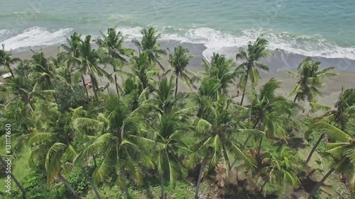 Wallpaper Mural 4k aerial footage of palms and ocean in the back. Torontodigital.ca
