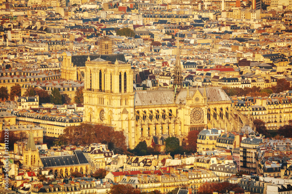 Aerial view of Notre Dame de Paris cathedral