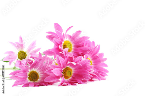 Bouquet of chrysanthemum flowers isolated on a white