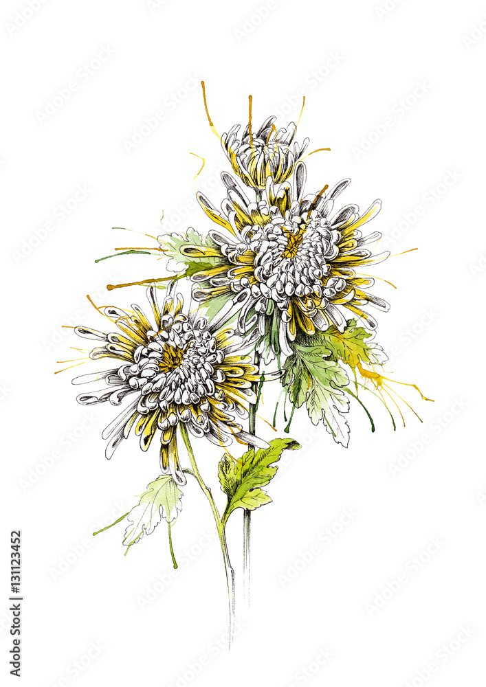 Bouquet of chrysanthemums Bouquet of chrysanthemums