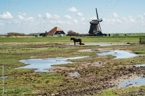 Dutch farm with windmill and a horse.
