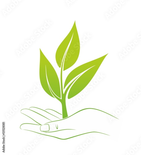 Hand2012a