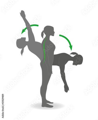 flexion and extension exercises are back for correct posture. vector illustration.
