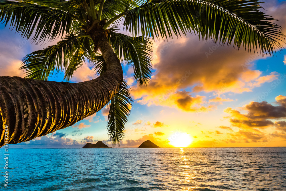 Beautiful Hawaiian Sunrise at Lanikai Beach - obrazy, fototapety, plakaty 
