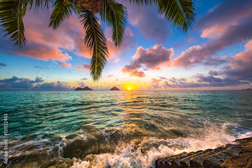 Fototapeta Piękny Hawajski wschód słońca przy Lanikai plażą