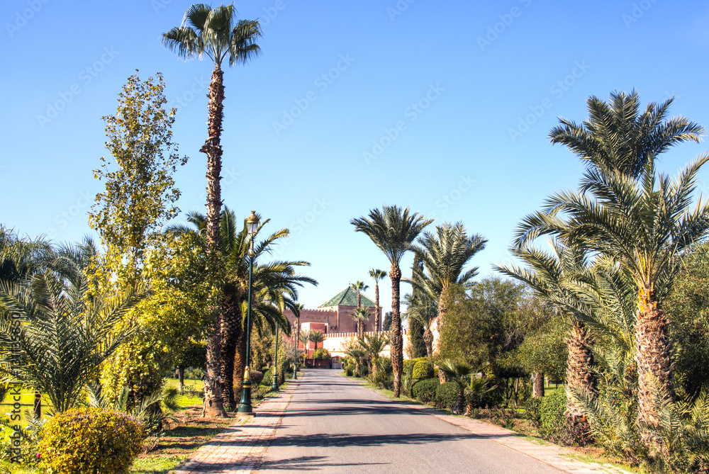 The beautiful gardens of the Royal palace of Marrakesh in Morocco
The beautiful gardens of the Royal palace of Marrakesh in Morocco