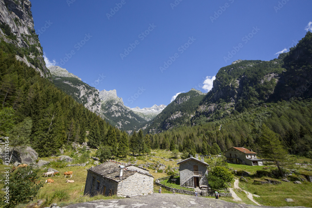 Mountain landscape in Valtellina (Italy)