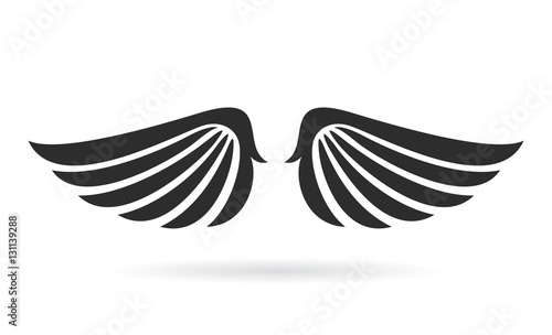 Bird wings vector icon