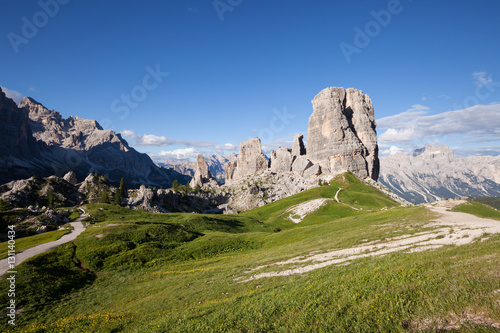 Summer mountain alpine meadow panorama