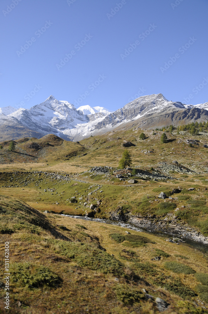 Berglandschaft beim Bernina Hospitz  nahe  der Alp Grüm
