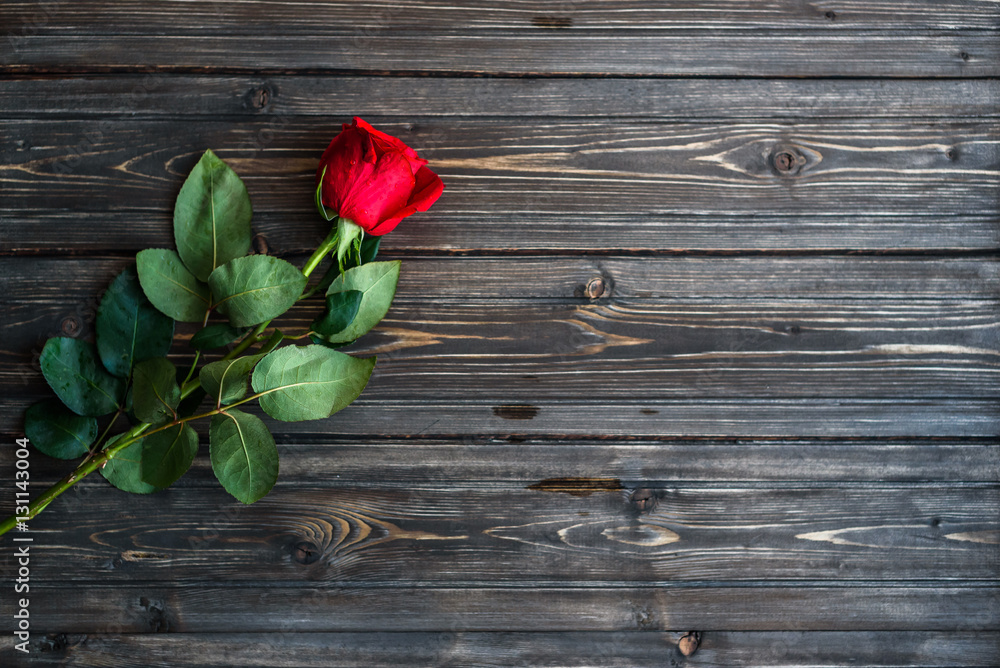 Romantic background with red rose on wood table, top view