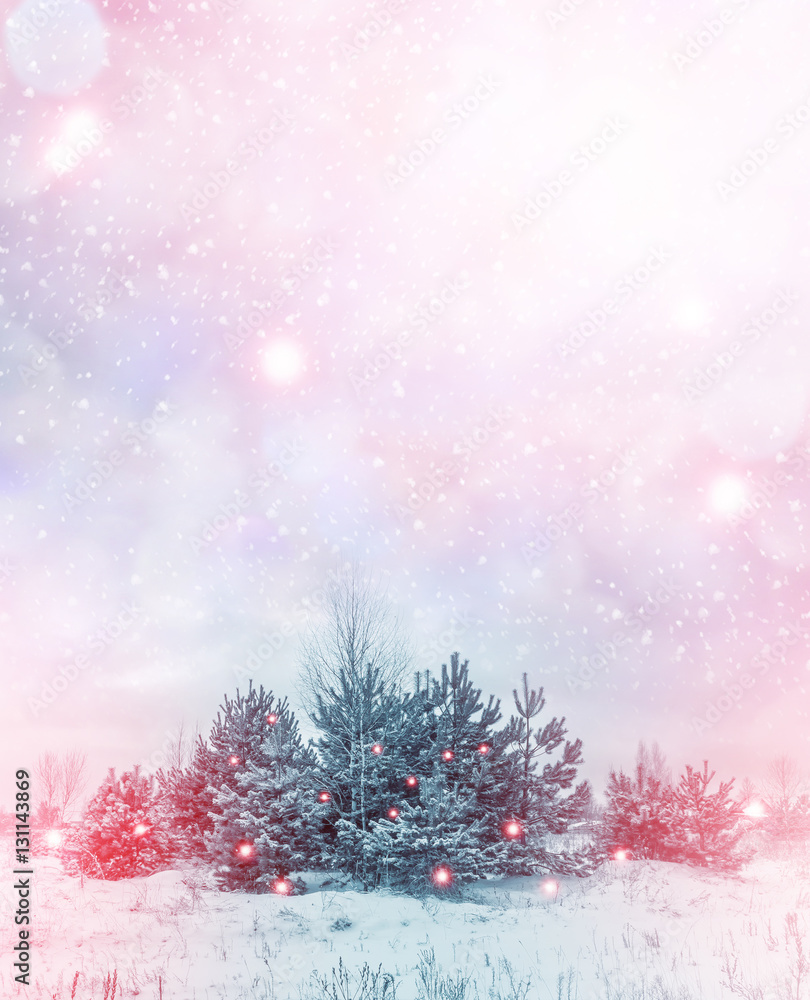 Frozen winter forest with snow covered trees. Frozen winter forest with snow covered trees.