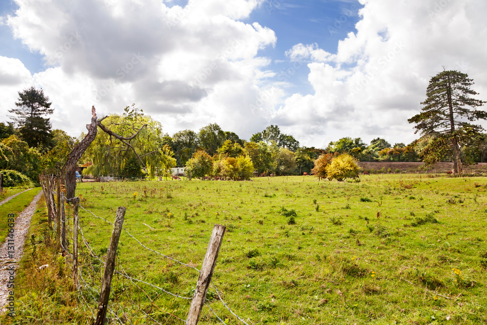 Fenced field on small Kent farm, England