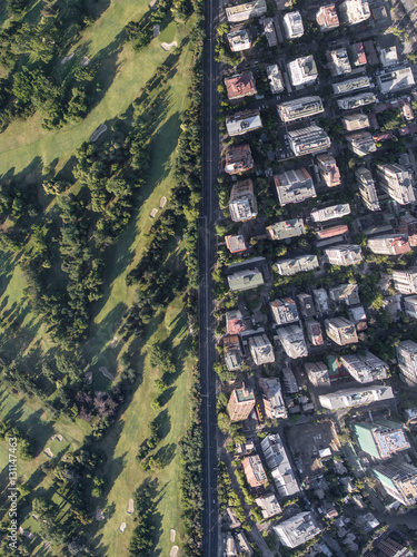 limit between forest and the city