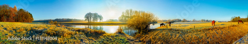 Panorama einer Landschaft im Herbst mit Pferden auf einer Weide am Fluss