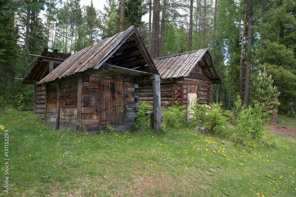 two houses and a dog in the woods two houses and a dog in the woods