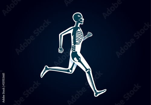 Human Bone Anatomy while run. Illustration about human physical and sport.