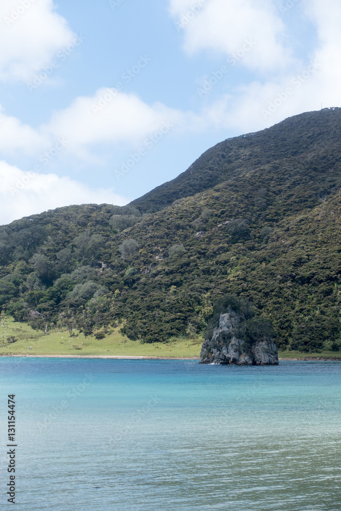 Fototapeta premium Houhora Heads Neuseeland