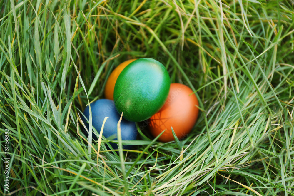 Easter eggs on green grass Easter eggs on green grass