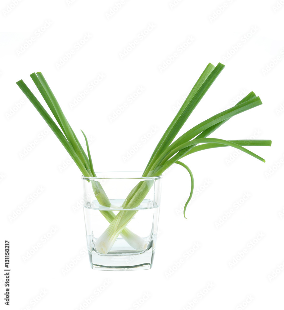 Green onion isolated on the white background Green onion isolated on the white background