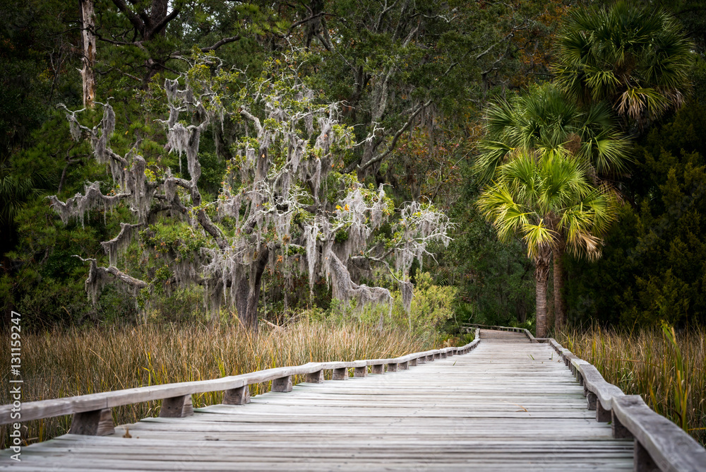 Fototapeta premium A long walk along a boardwalk over the southern marsh in Savannah, Georgia. 