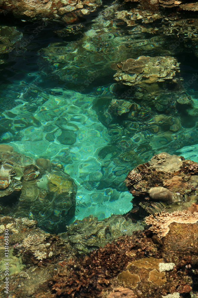 Coral Reef - Yonaguni Island, Okinawa, Japan