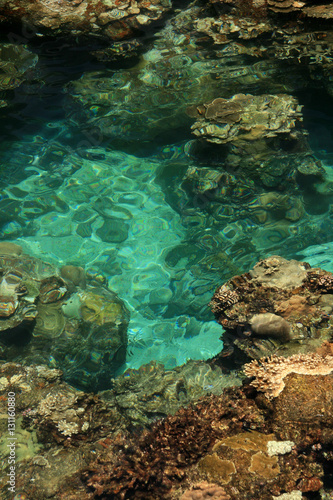 Coral Reef - Yonaguni Island  Okinawa  Japan