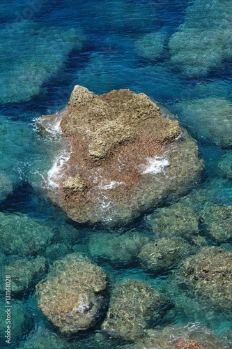 Fototapeta Naklejka Na Ścianę i Meble -  Coral Reef - Yonaguni Island, Okinawa, Japan