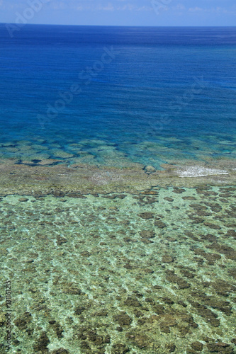 Tropical Sea  Coral Reef - Yonaguni Island  Okinawa  Japan
