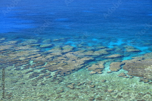 Fototapeta Naklejka Na Ścianę i Meble -  Tropical Sea, Coral Reef - Yonaguni Island, Okinawa, Japan