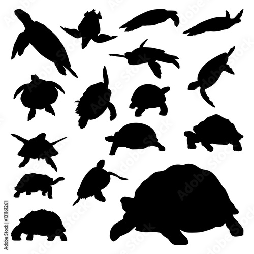 Turtle Tortoise Terrapin Walk Crawl Swim Vector Silhouette Collection