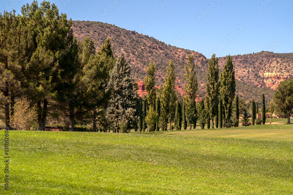 Fototapeta premium Fairway and Green
