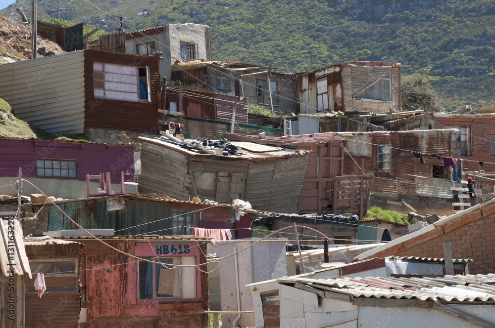 Fototapeta premium Squatter Camp on Mountain in Hout Bay, South Africa