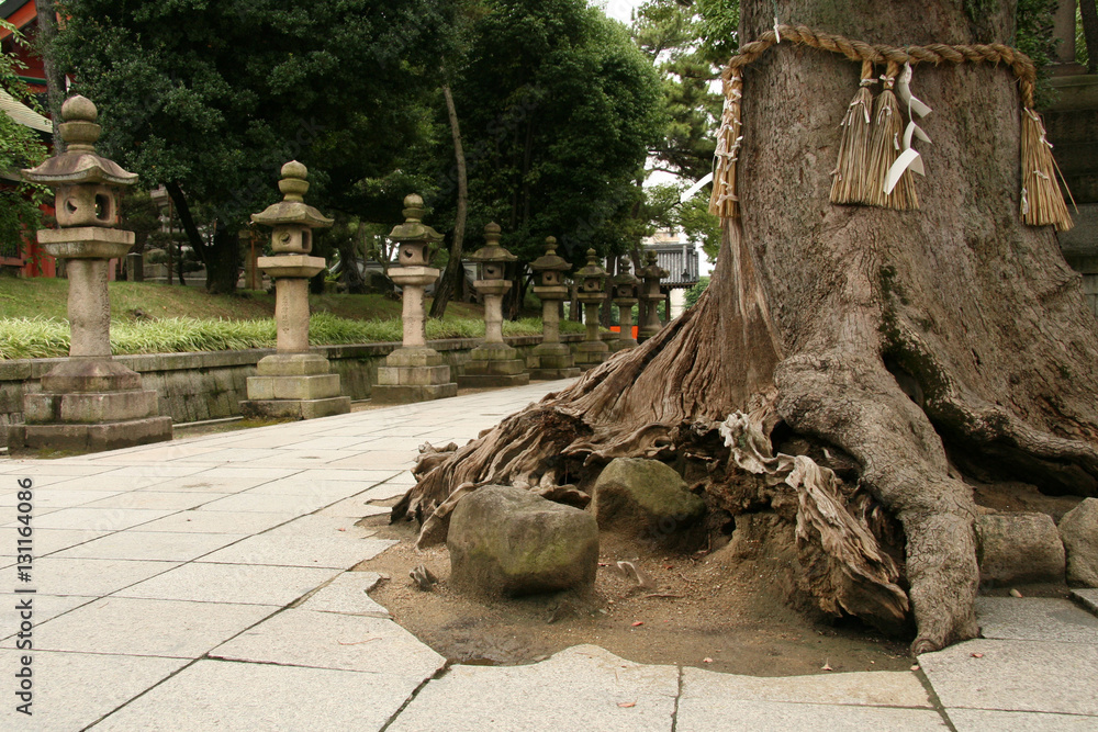 Sumiyoshi Taisha Shrine, Osaka, Japan