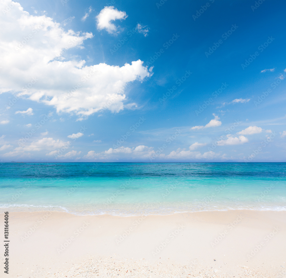 beach and tropical sea