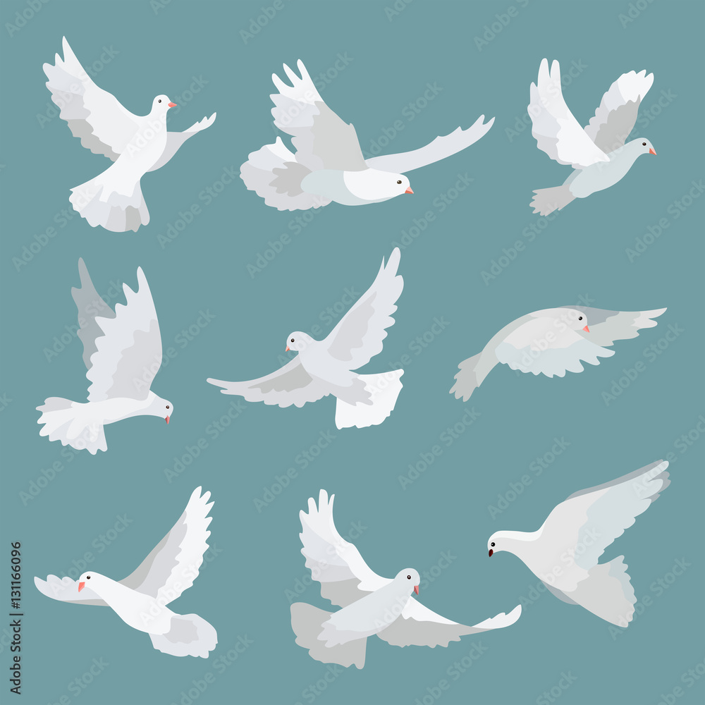 Set white doves peace isolated on background. Vector bird illustration. Set white doves peace isolated on background. Vector bird illustration.