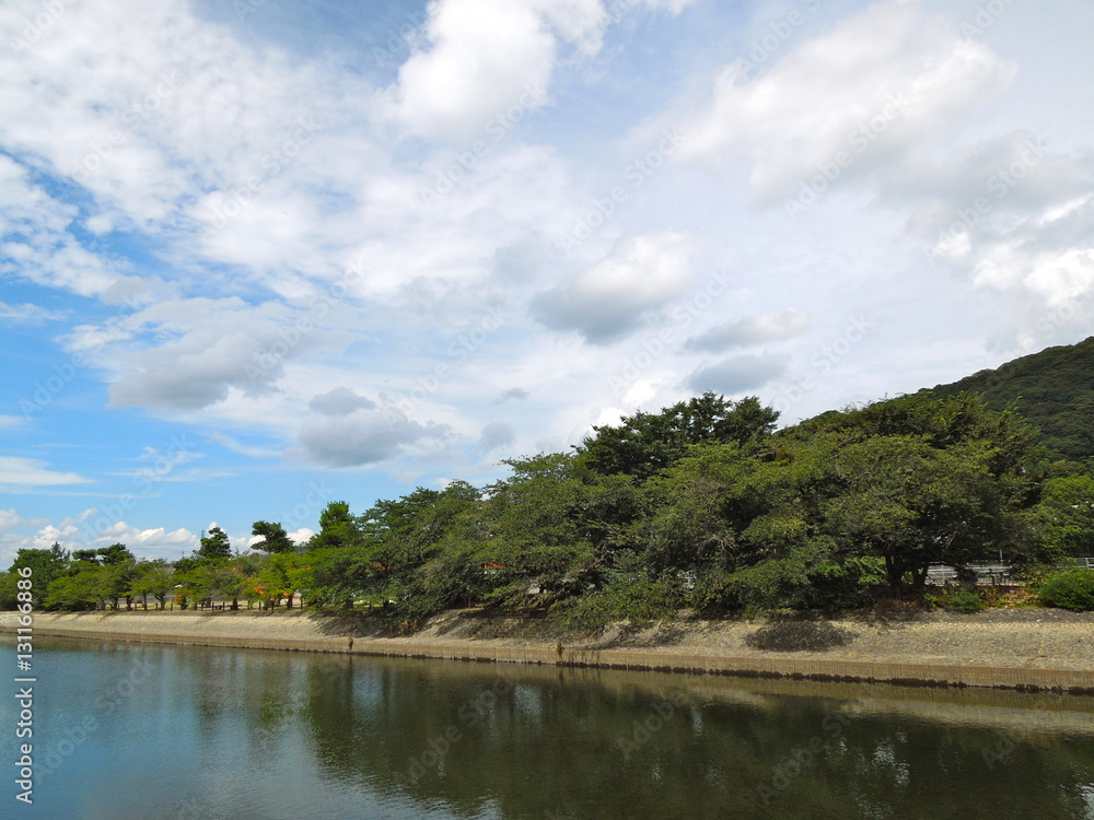 Obraz premium 宇治川の風景
