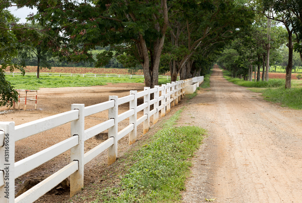 white wooden fence around the ranch and country road with tree white wooden fence around the ranch and country road with tree