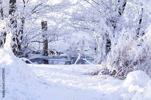 Winter Day in Sweden photo